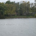 picture 034